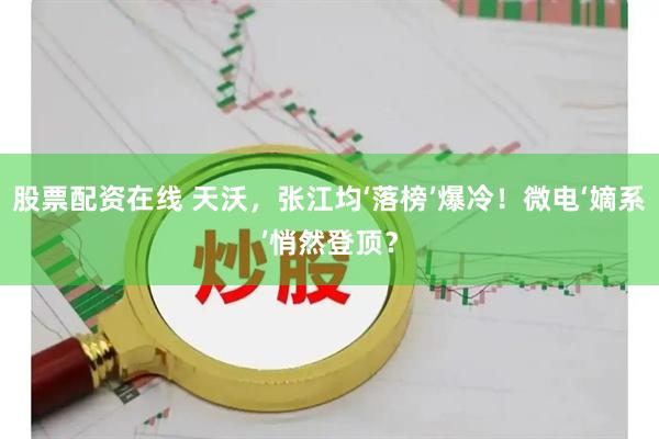 股票配资在线 天沃，张江均‘落榜’爆冷！微电‘嫡系’悄然登顶？