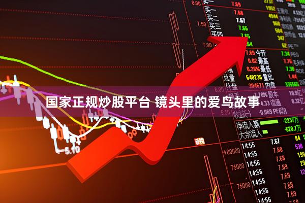 国家正规炒股平台 镜头里的爱鸟故事